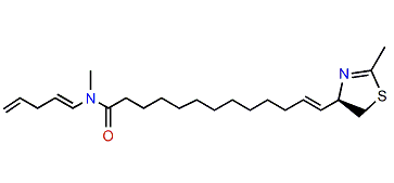 Laucysteinamide A